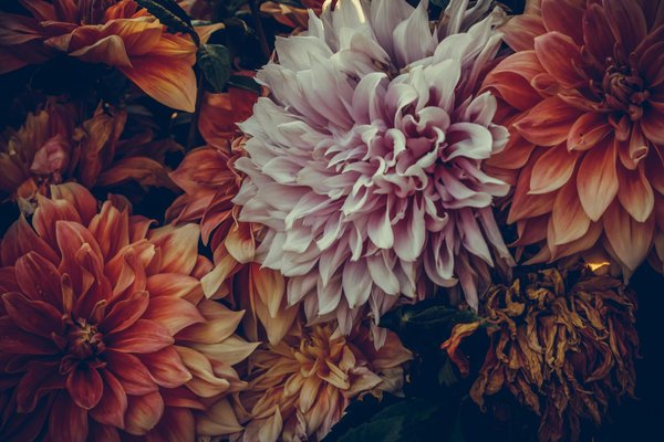 Comment ouvrir une porte bloquée sans dommage ?